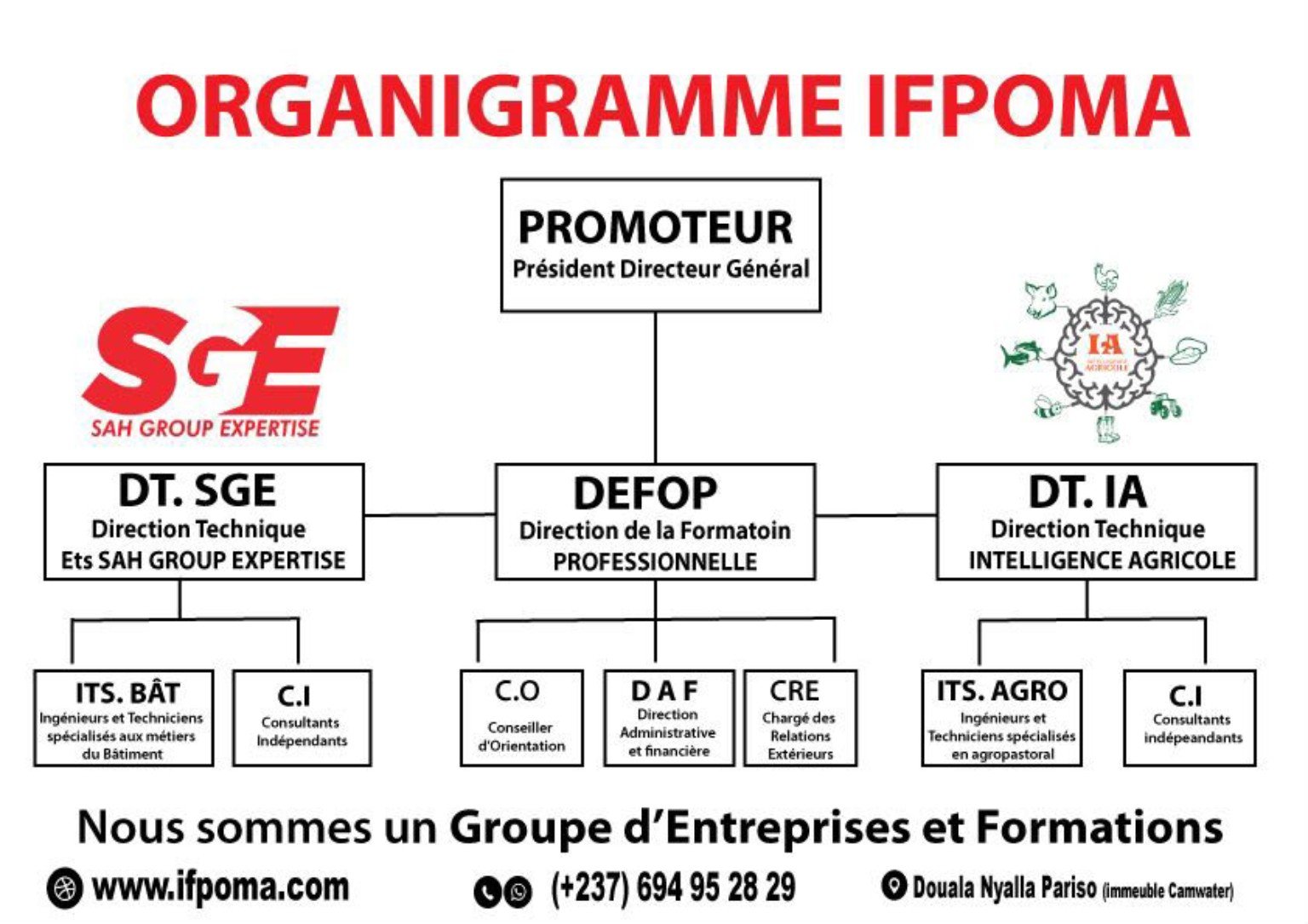 Organigramme IFPOMA