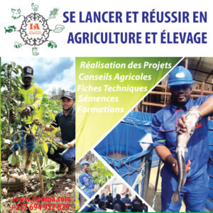 agriculture-élevage