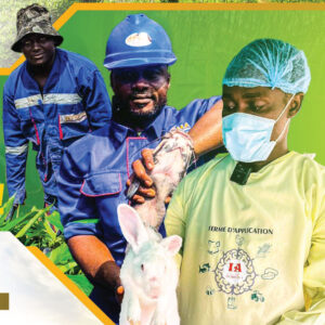 agriculture-et-élevage-douala--ifpoma