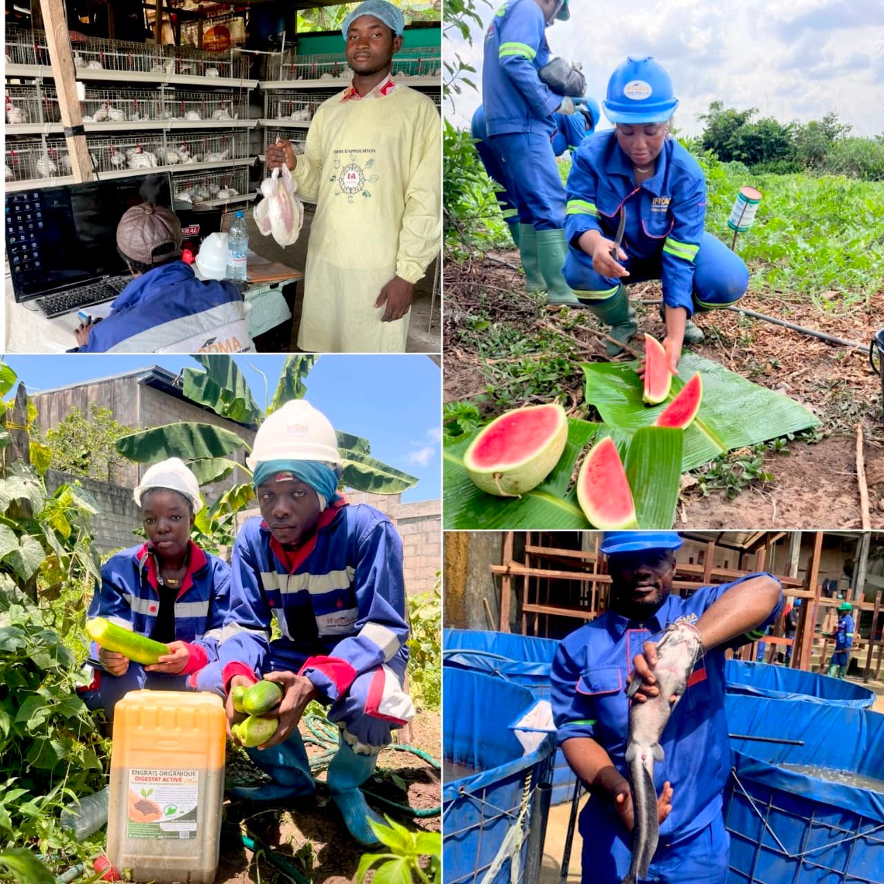1. La Production Agropastorale